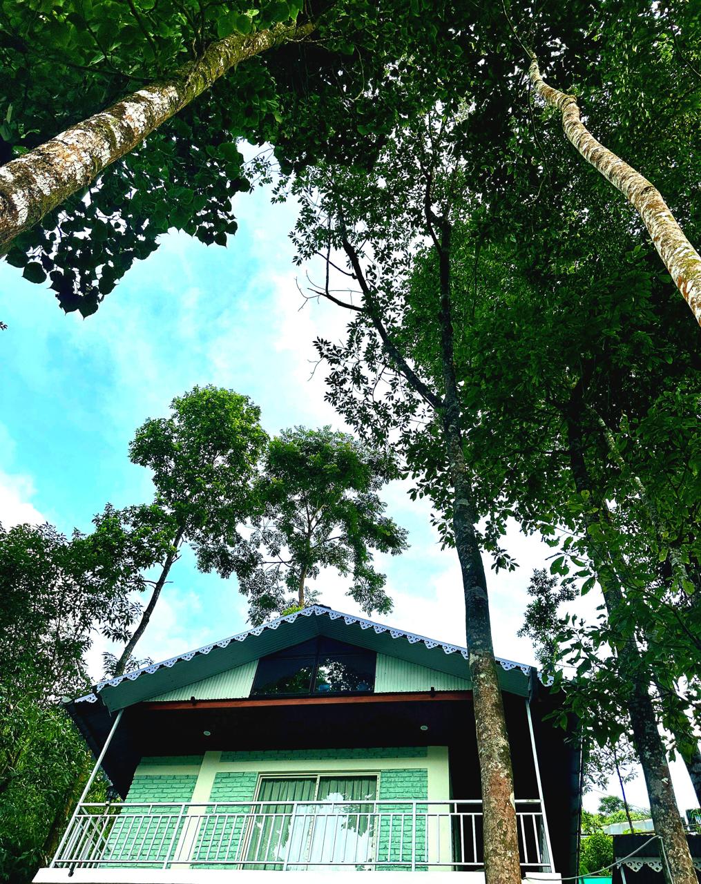 Premium Cottage